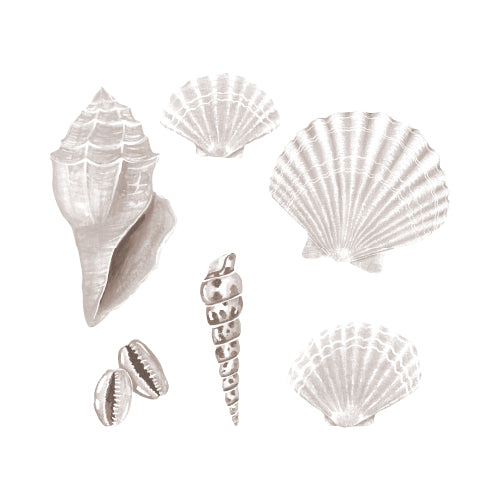 That's Mine Wallsticker Seashell